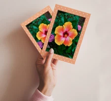 Hibiscus Flower Note Cards Blank - Set of 6 -Peach Polka Dot Theme - 5.5 x 4.25"