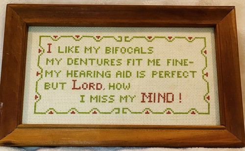 Cross Stitch Complete Dentures I Lost My Mind Funny Over The Hill County Chic - Picture 4 of 10