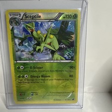 Sceptile 8/116 Plasma Freeze Reverse Holo Pokémon Card  on eBay