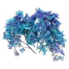 10g Mini Dried Hydrangea Flower Natural Pressed Flower Gradient Blue Purple