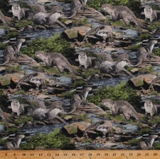 Cotton Otters Sea Otter Animals Wildlife River Scenic Fabric Print BTY D482.27