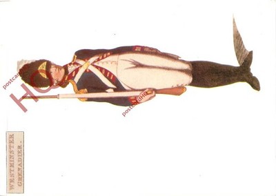 Ansichtskarte:: MILITÄRUNIFORM, ROYAL WESTMINSTER GRENADIER, 1798