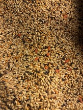 Volkman Avian Science Super Canary Bird Seed Mix 2LB