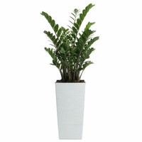 Howhomely ÜBertopf Pflanzgefäß Blumentopf Weiß Pflanztopf H46Xb25 Geriffelt Deko