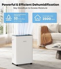 2500 Sq.Ft Dehumidifier