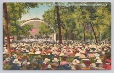 Williams Park & Bandstand St Petersburg Florida Postcard