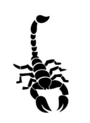 SCORPION Vinyl Decal Sticker- for Window Car Laptop Wall Bumper Phone Case 