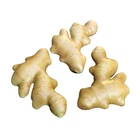 Set of 3 Artificial Fake Ginger Home Decor