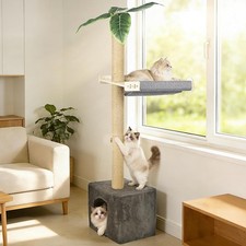 Cat Window Perch with Tall Scratching Post, 58" Cats Window Hammock with Cat .