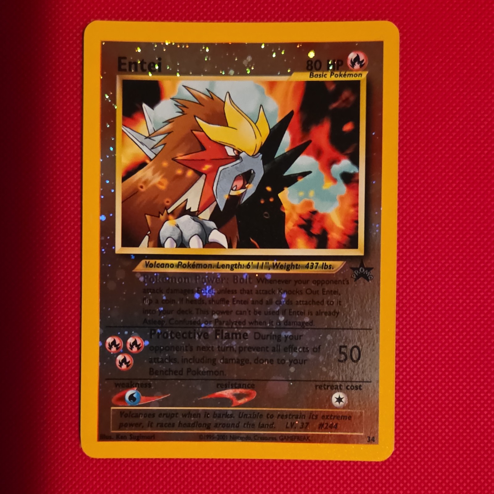 Pokémon TCG Entei 34 Promo Cards Basic Holo Promo 80 HP English