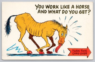 Comic Horse Work Like a Horse Get Nothing Chappell Nebraska 1959 Postcard