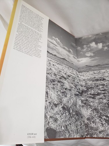 Shepherds of the Desert; Jones; Signed/Insc.; First Edition - Picture 2 of 3