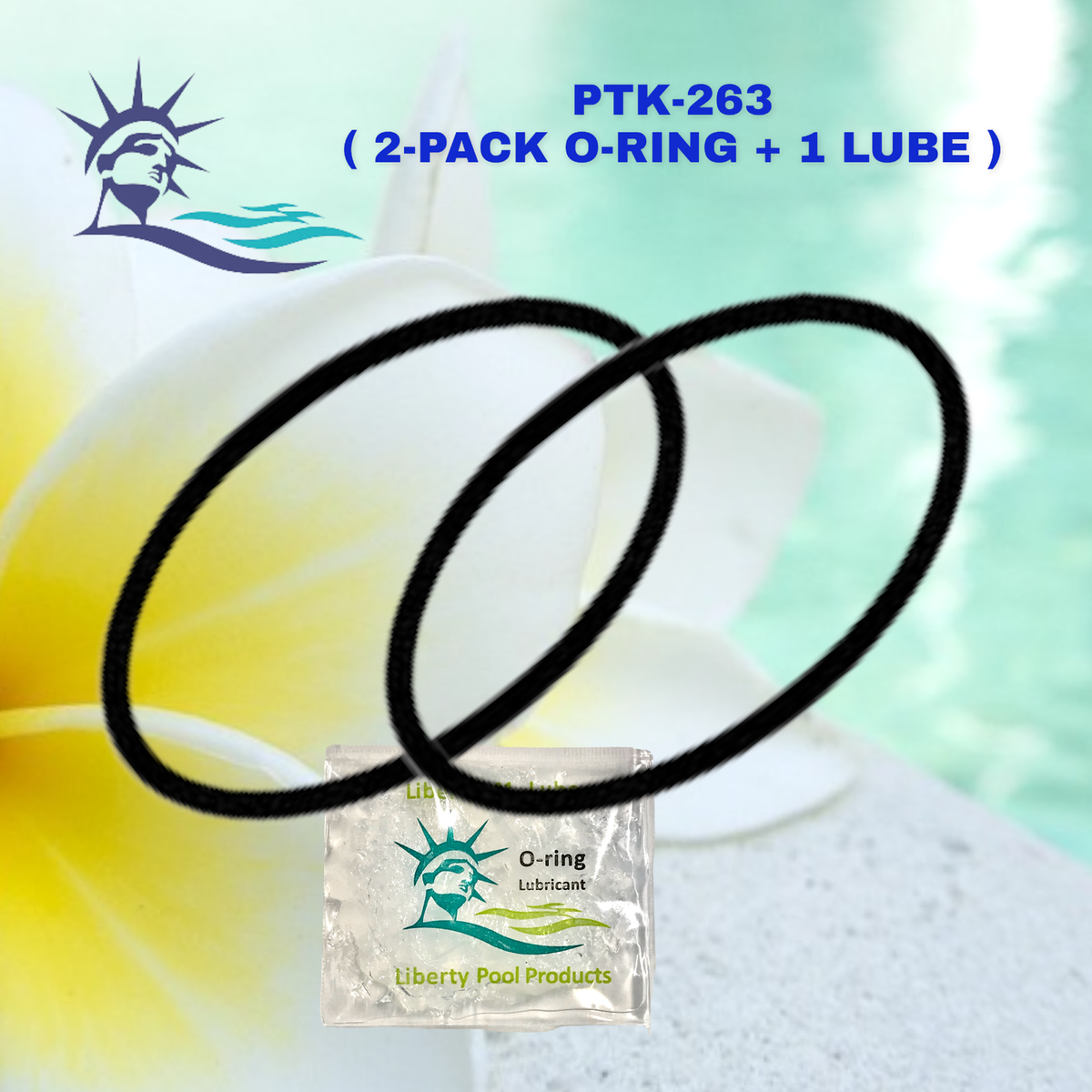 Pro-Parts GMX600F Valve O-Ring Replacement 2-Pack For Hayward Pro Series Sand Filters