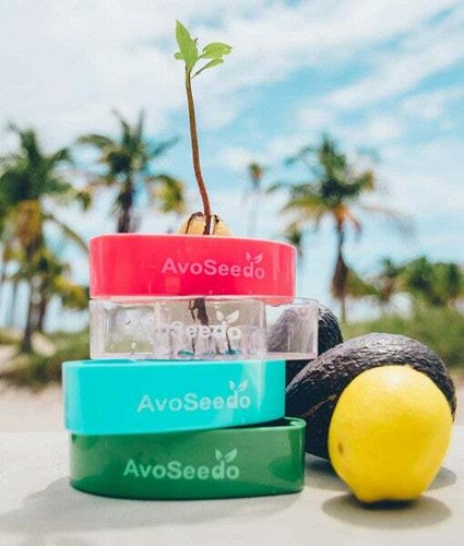 AvoSeedo Plant Pot Set - Afbeelding 5 van 15