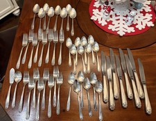 Vintage *Daffodil Pattern* 1847 Rogers Bros. (International Silver) 48 pc set!