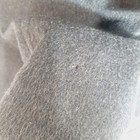 Bild 6 von 17