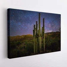 Sonoran Desert, Arizona Wall Art Canvas Unframed Print Art
