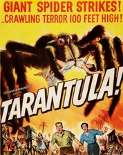 Terantula 1955 Public Domain DVD