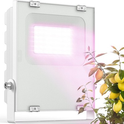   LED Plant Lamp for Wintering Mediterranean Plants   Developed 5-Tage-Lieferung