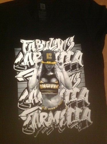 NEW WWE Authentic T-Shirt Wrestling 