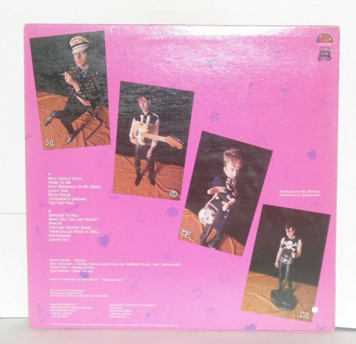 BOPCATS Wild Jungle Rock Canadian LP VG+ 1982 Attic Sunnyland Slim Plays Well - Imagen 3 de 4