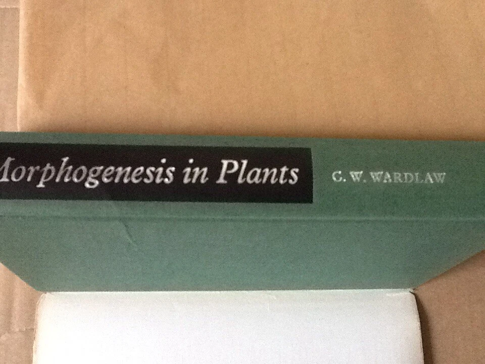 Morphogenesis in plants. A contemporary study - C.W. WARDLAW - Image 2 of 4