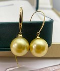 south sea Round pearl earrings 14K Gorgeous Aaaa 11-12mm real natural Golden
