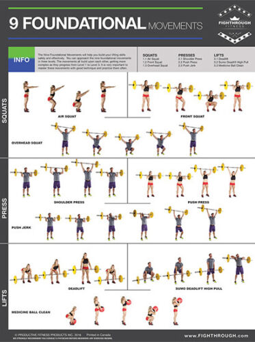 Olympic Weightlifting NINE FOUNDATIONAL MOVEMENTS Instructional 18x24 POSTER - Picture 1 of 1