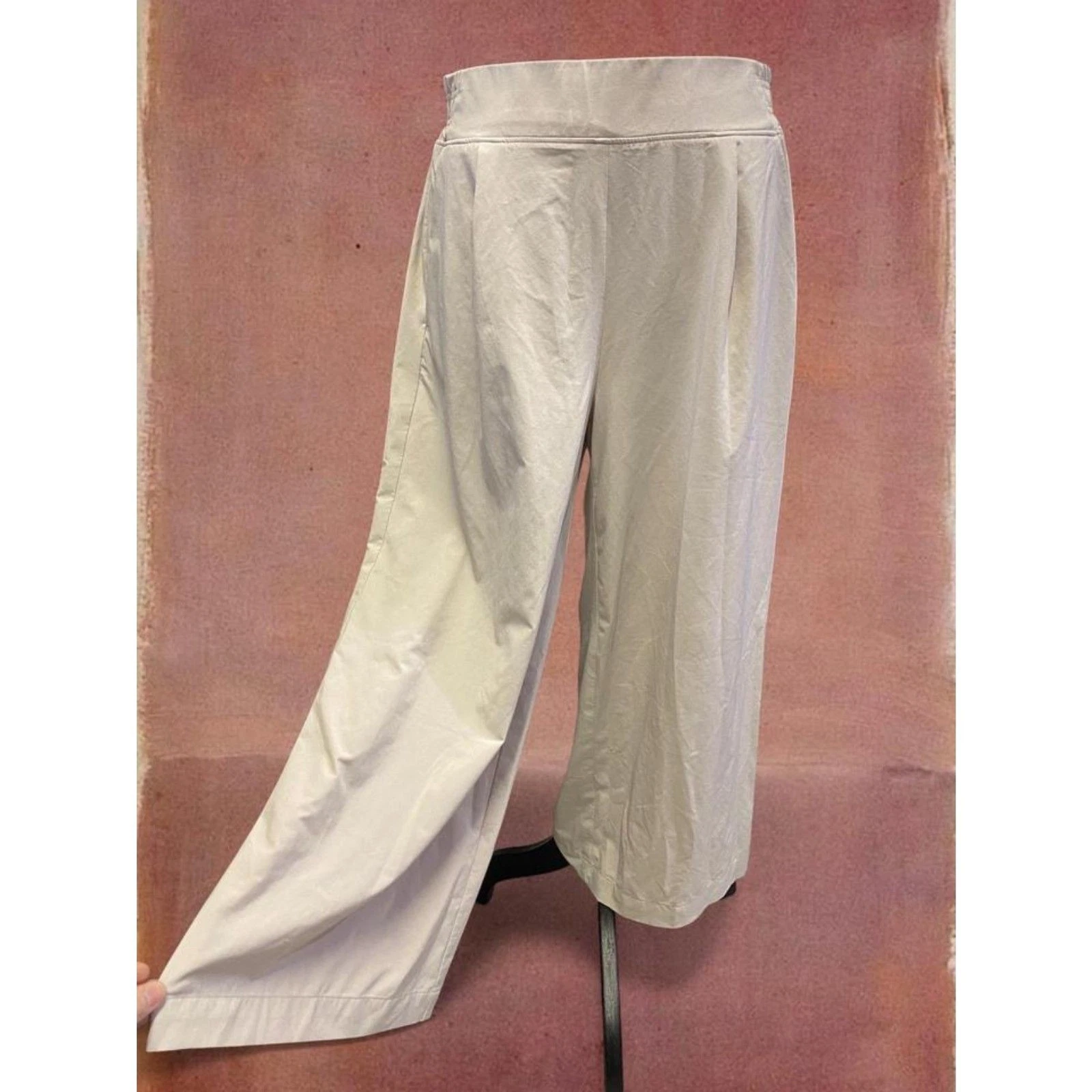 Athleta Athletic Hike Outdoor Work Job Lightweight Travel Wide Leg Crop Pants
Opens in a new window