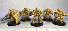 Well Painted Terminators Imperial Fists Warhammer Space Marines 40k GW READ