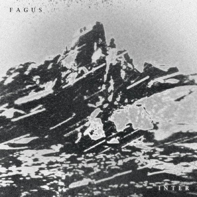 Fagus Inter Music CDs New