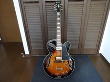 Ibanez AFJ95-VSB-12-02 12-saitige Akustikgitarre Vintage Sunburst
