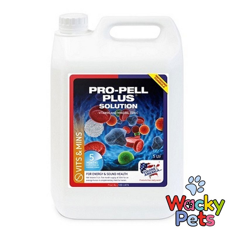 Equine America Pro-Pell Plus – 5 Litre Tonic for Energy & Sound Health in Horses - Image 2