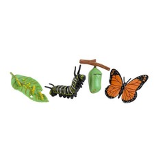 4 Pieces Animal Life Cycle Toy Textured Kit Learning for Children, Beginners
