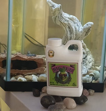 Advanced Nutrients Big Bud Liquid Fertilizer 1-Liter Flowers More essential oils