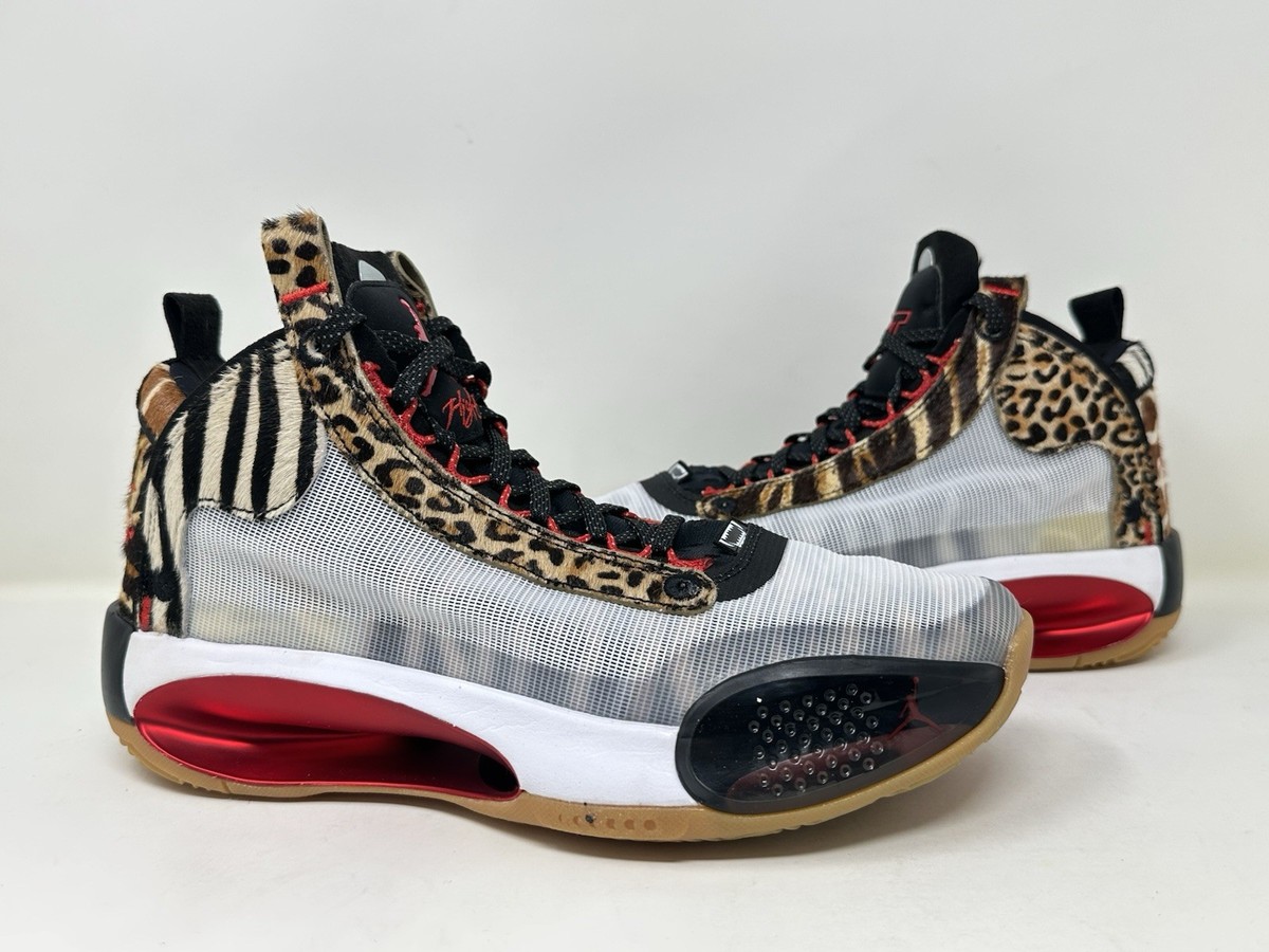 DA1899 900 Jayson Tatum x Air Jordan 34 Welcome To The Zoo