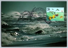 #2863 Wonders of the Sea Scuba Diver and Dolphin & Fish Maxi Card