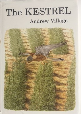 Andrew Village The Kestrel (Hardback) Poyser Monographs (UK IMPORT)
