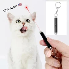 Keychain Red Laser Pointer Pen 650nm With White LED Torch Fun Pet Cat Dog Toy