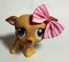 Foto 5 di 12