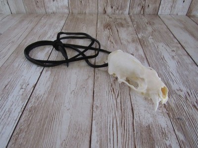 Mink Skull Top Necklace Bone Tribal Unique Animal Bone Jewelry (Neovison Vison)