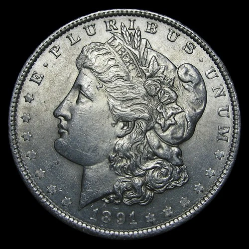1891 Morgan Dollar Silver  ---- Gem BU Coin ---- #PP384