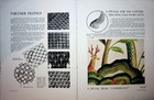 Foto 7 di 9