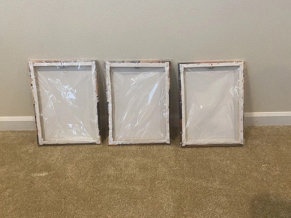 Pinturas de arte de pared en lienzo de 3 piezas sobre lienzo - decoración Phoenix Foto 2 de 4