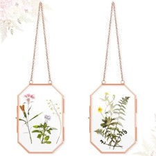 2 Pcs Glass Pressed Flower Frames Hanging Picture Frame Clear Floating Frame