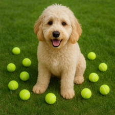 Mini Tennis Balls, 50 Pack 2 inch Dog Tennis Balls