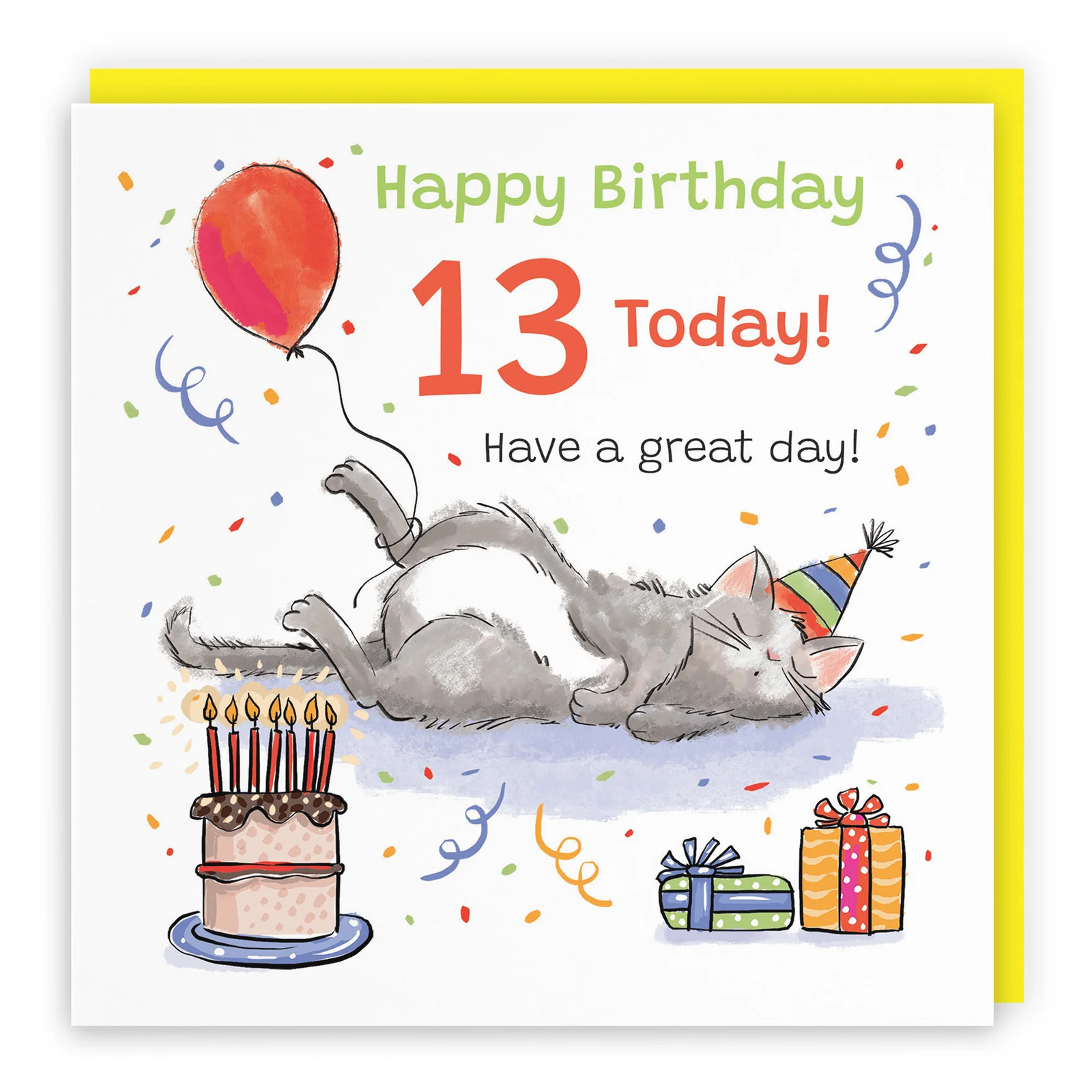 13th Birthday Card Sleepy Cat Animal Party