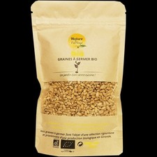 Graines à germer bio de Blé 150 g