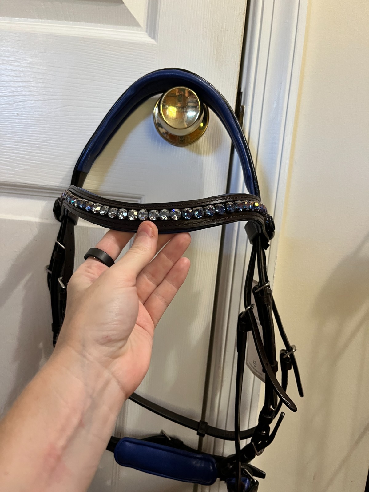 Halter Ego Aria Dark Brown/Ink Blue Snaffle Bridle - FULL - NEW