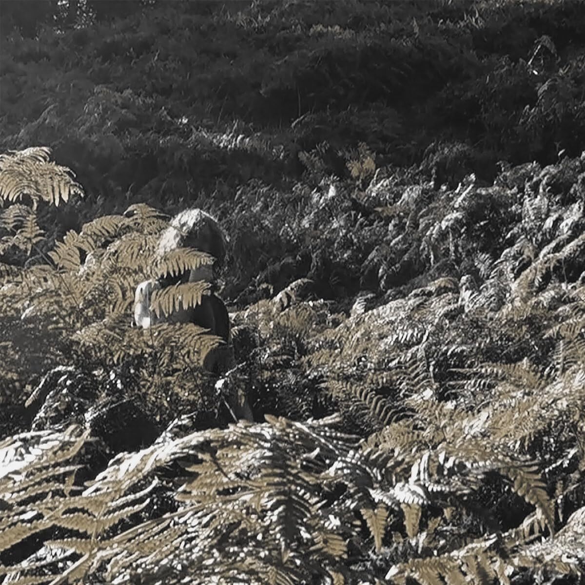 Альбом Apostille Prisoners of Love and Hate (винил), 12 (ИМПОРТ из Великобритании)